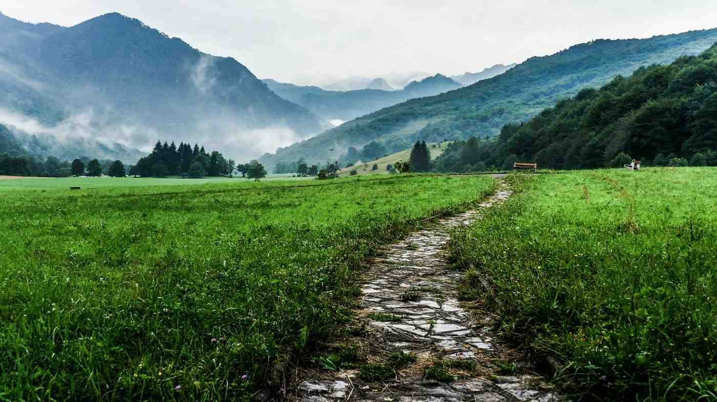 Hiking Trails - nature walking paths